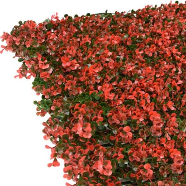 jardín vertical hojas rojas